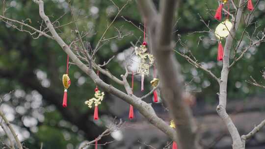 【合集】雪中梅花新年祈福许愿池