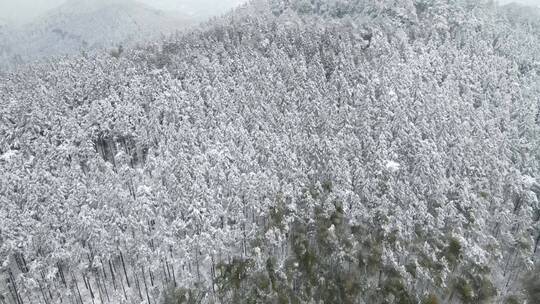 航拍 山川 森林 冬天 雪景