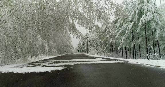 航拍森林冰雪