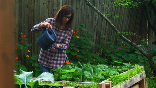 女人在花园里给植物浇水