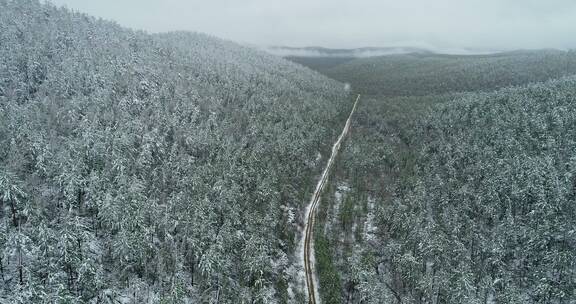 航拍大兴安岭山林春季降雪景观