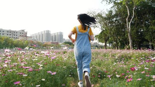 女孩在春天的格桑花海里奔跑视频素材