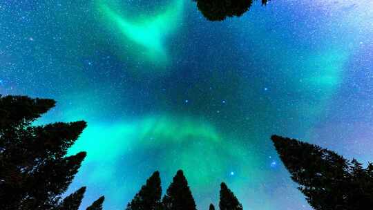 夜晚森林星空和北极光视频素材模板下载