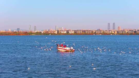 航拍滇池游船与海鸥