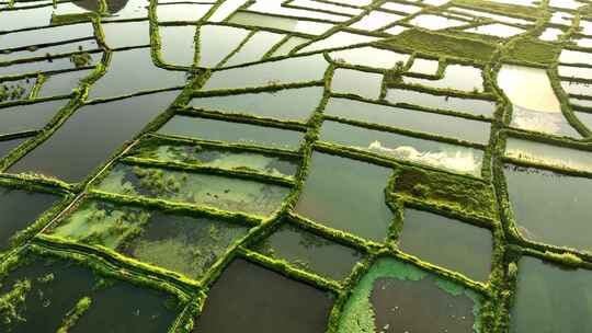 桂林乡村振兴田园自然风光日出稻田