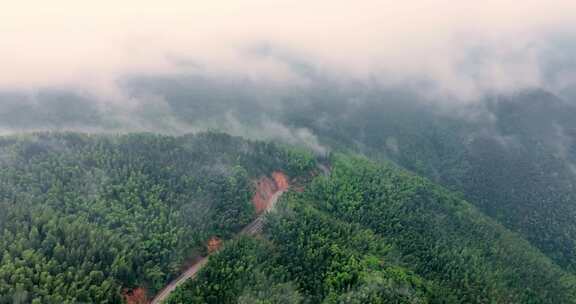 广西山区竹林竹海竹山云海翻滚航拍