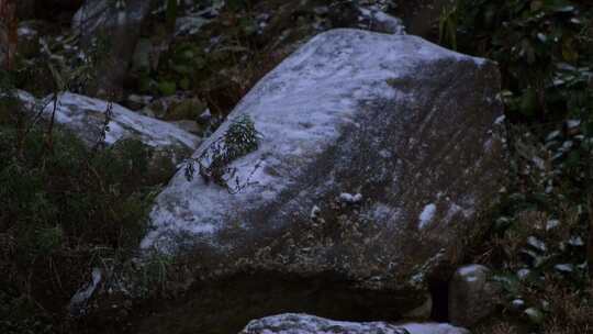 下雪飘雪冬季岩石萧条视频素材模板下载