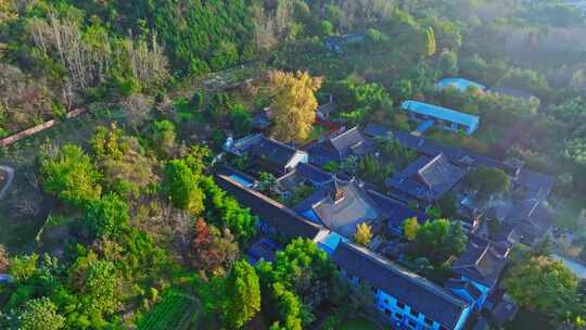 西安古观音禅寺千年银杏树