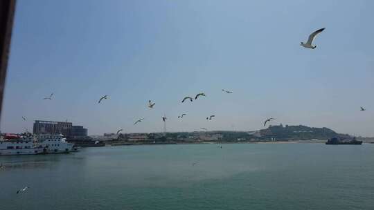 蓝色海洋大海海鸥岛屿浪花风景航拍