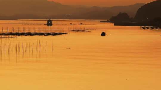 海上落日 海上养殖  金色海面