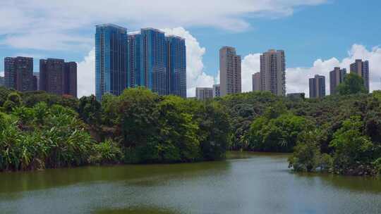 夏天的广东深圳荔林公园湖景风光