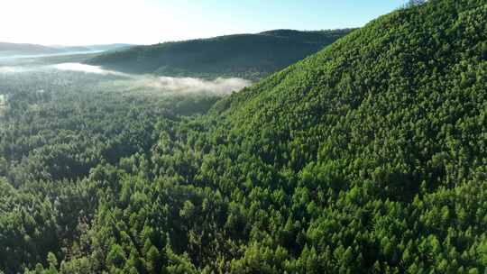 航拍黎明山川晨雾阳光视频素材模板下载