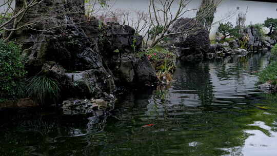 杭州净慈寺中式园林池塘景观