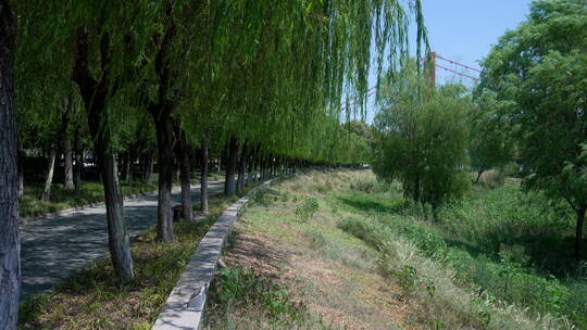 武汉汉阳江滩公园风景