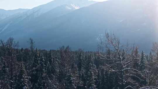 航拍新疆雪山风光