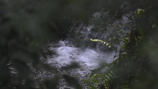 杭州西湖 灵隐寺 园林 森林 山水 庭院 安缦