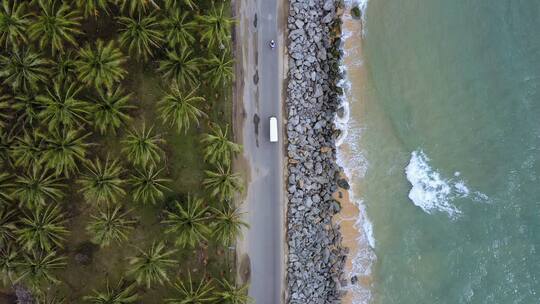 三亚日月湾海边公路椰树