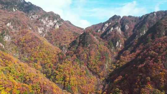 南阳老界岭秋景风光