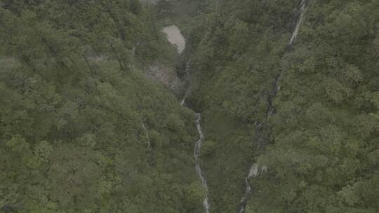 航拍森林河流山川峡谷