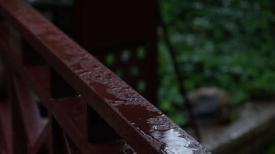 雨天下雨雨中植物场景