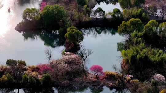 杭州西溪湿地梅花江南水乡小船惬意春游