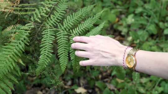 女人伸手触碰植物叶片