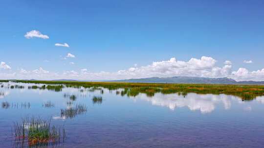 阿坝若尔盖花湖湿地