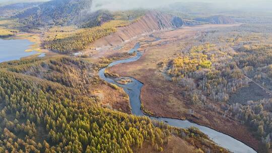 航拍秋天美丽的森林河流（阿尔山）视频素材模板下载