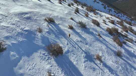 实拍登雪山画面