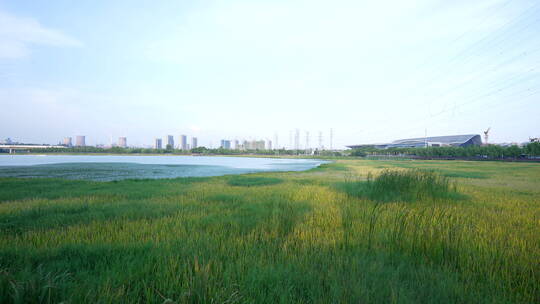 武汉杨春湖城市生态公园风景