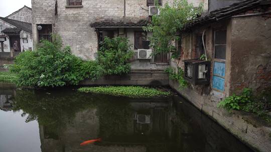 绍兴书圣故里墨池景点