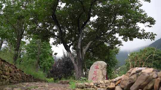 山东临沂沂蒙红嫂祖秀莲纪念馆