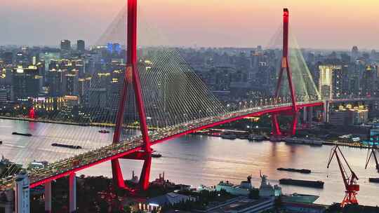 杨浦大桥 杨浦区 上海交通 车流夜景