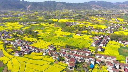 航拍美丽乡村振兴农田三农农业