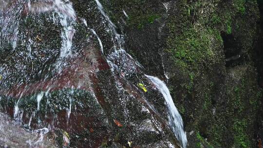 夏天森林里岩石小溪溪流瀑布流水