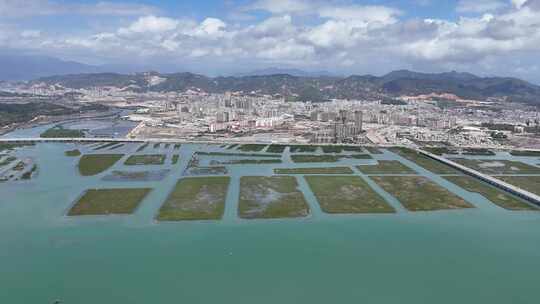 惠州盐洲海洋湿地公园-红树林湿地风光