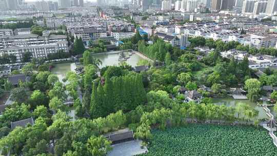 俯拍绿意葱葱的楚秀园夏季江南园林风景