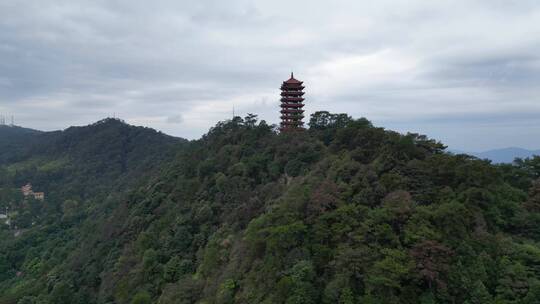 【合集】重庆北碚缙云山观景塔自然景观航拍