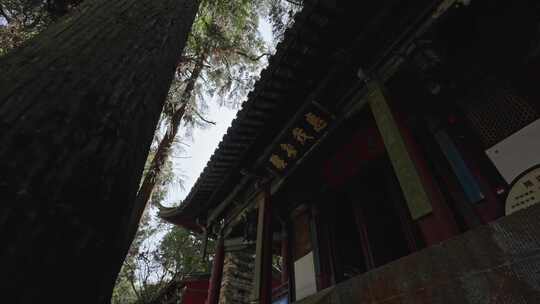 【正版素材】通海秀山普光寺