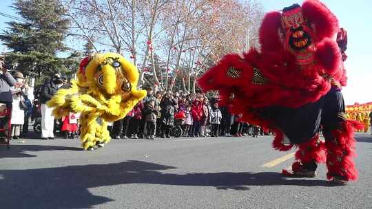 民俗展演闹新春