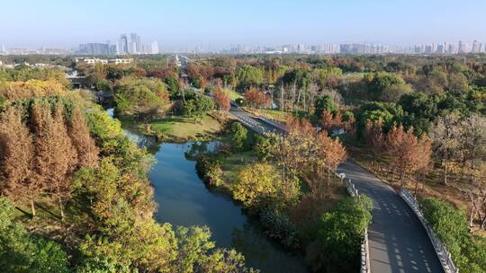 航拍无锡贡湖湾湿地公园