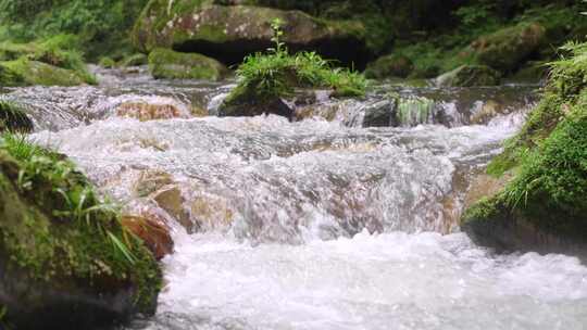 小河流水-水-水资源 溪流酒水河水