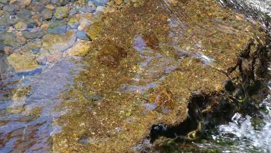 河边流水河流河水小溪山泉泉水水流升格美景