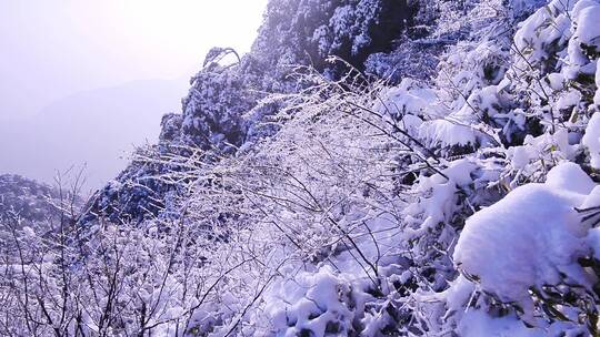 江西三清山雪景