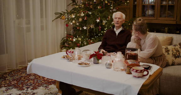 圣诞节期间女人在家里和爷爷聊天