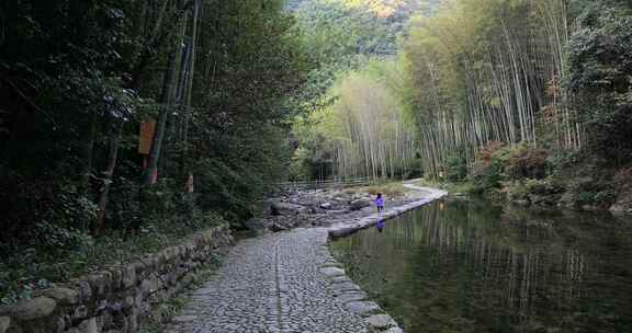 宁静的山野竹林 浙东小九寨