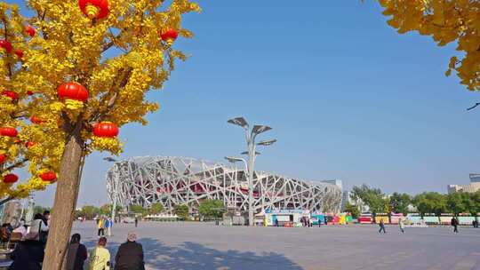 北京鸟巢秋天银杏