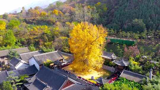 航拍古观音禅寺