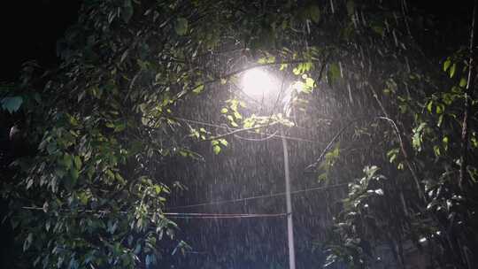 雨夜中的树叶遮挡的路灯特写