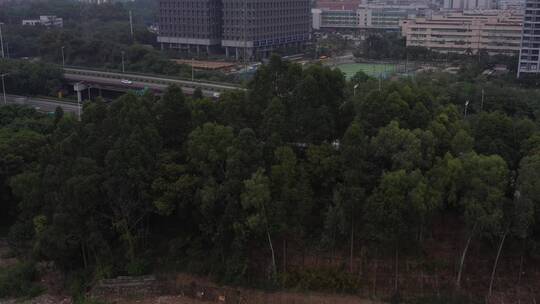 航拍深圳城市生态绿化